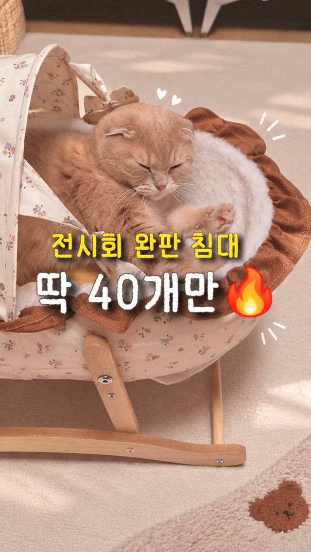 프레이즈펫 코코낸내 침대