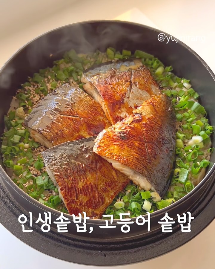 제주 고등어