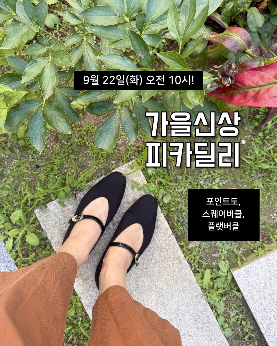 피카딜리 구두