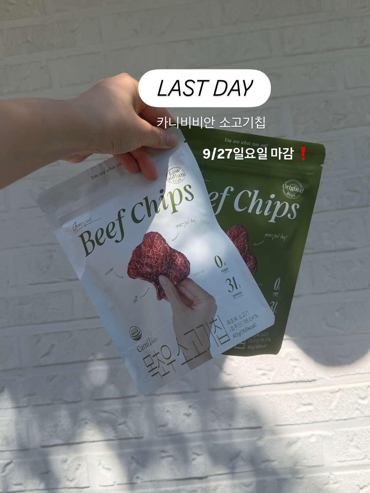 카니비비안 소고기칩