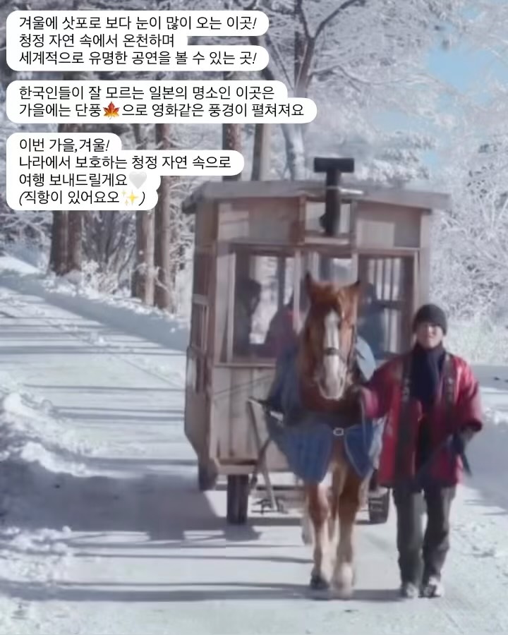 일본 명문 리조트