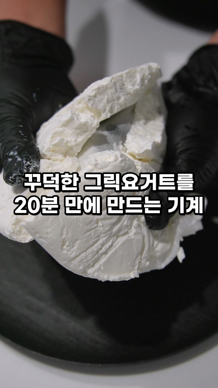짜지요 그릭요거트 메이커