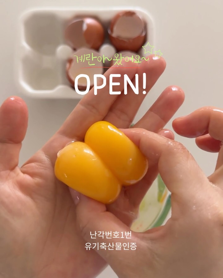 유기 난각번호1번 계란