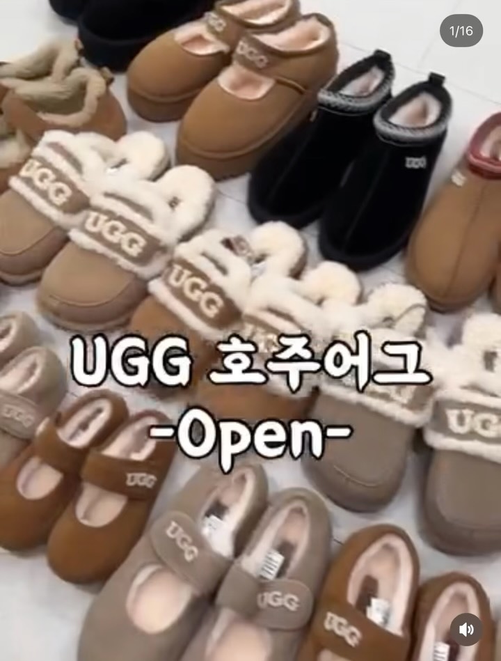 ugg 어그공구
