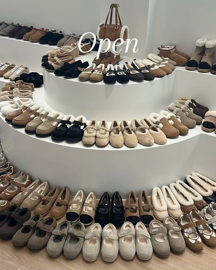 호주 어그 모음전