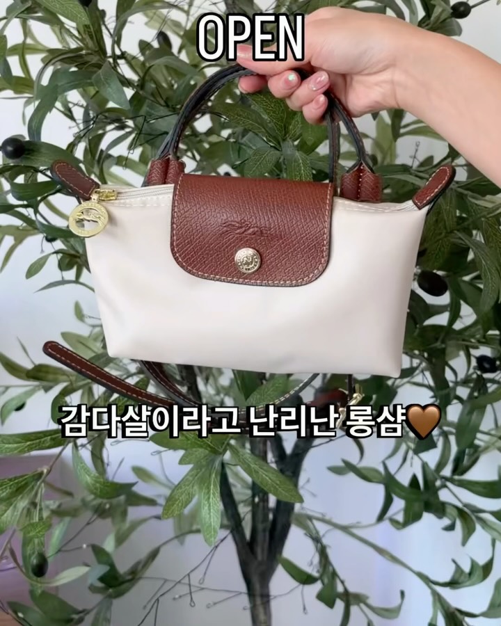 롱샴 르 플리아쥬 미니백
