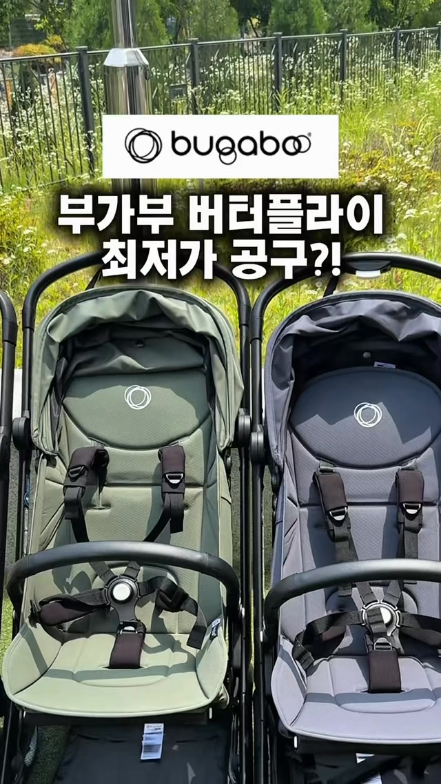 부가부 버터플라이