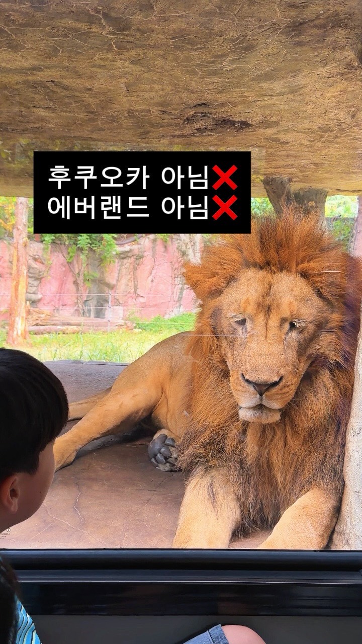 사파리 + 놀이기구 무제한