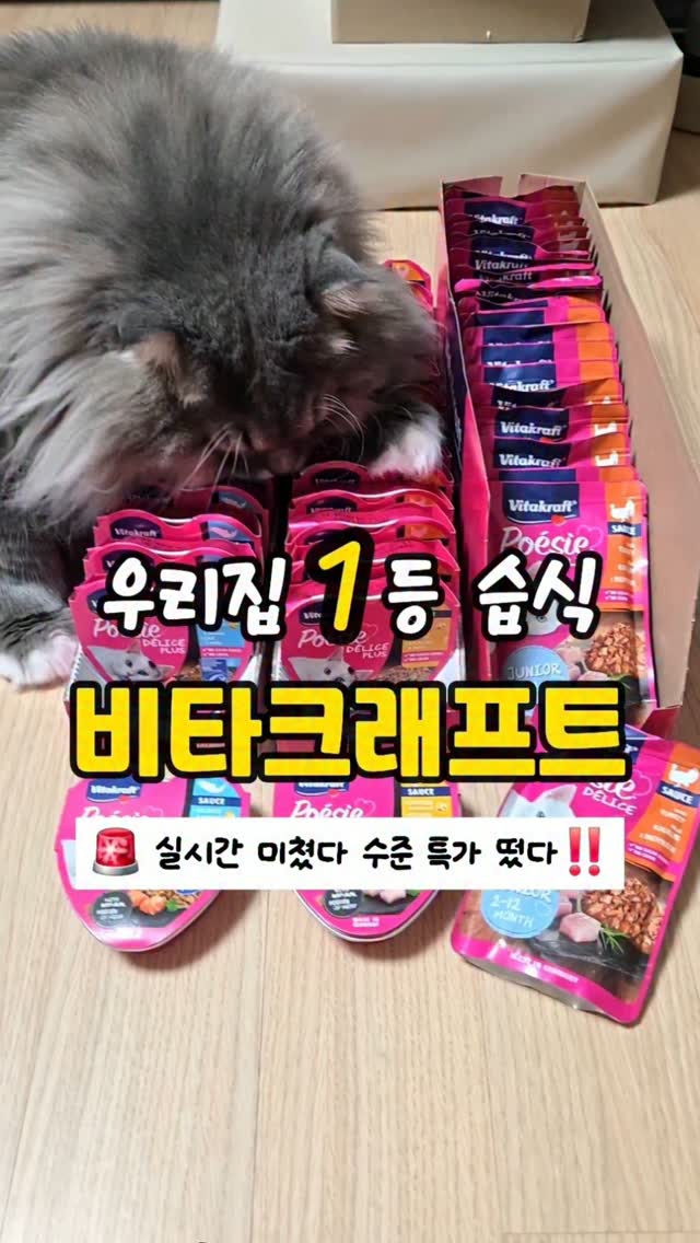 비타크래프트 포에시 주식습식
