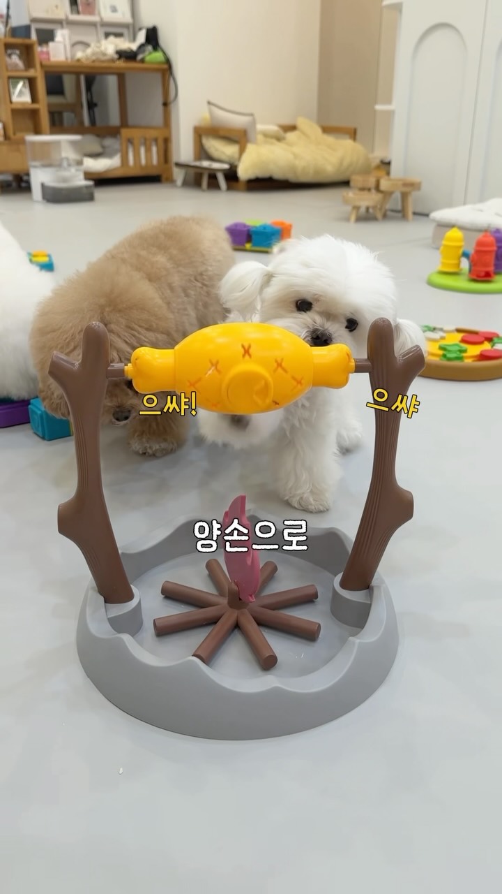 노즈워크
