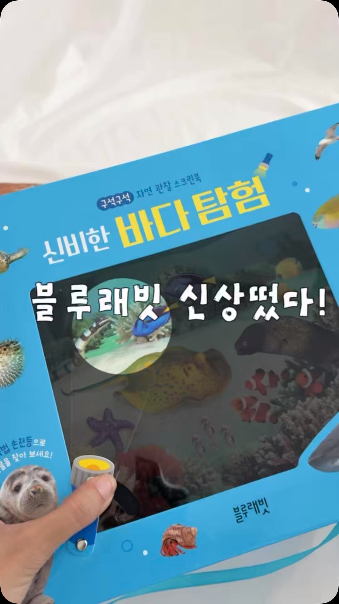 블루래빗 신상 자연관찰 스크린북