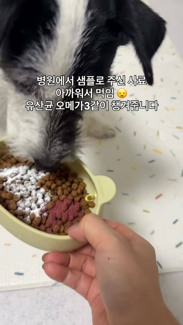 rTG 오메가3, 장튼튼유산균