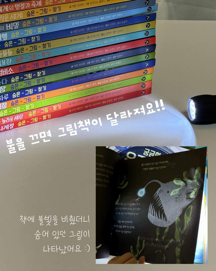 사파리 불빛 그림책