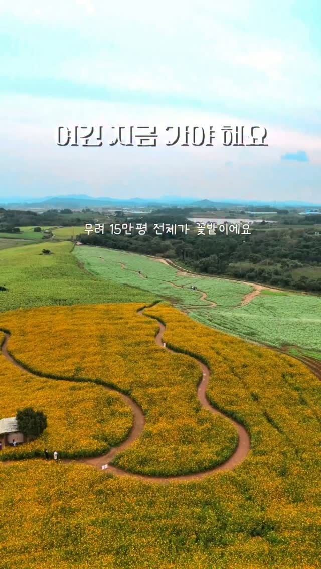 고창 오픈 1년차 신상 호텔