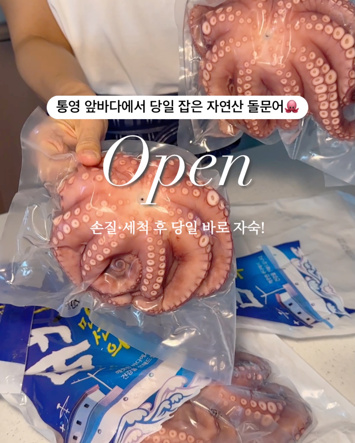 통영산 제철 자연산 돌문어