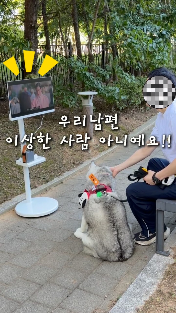 프레미미TV