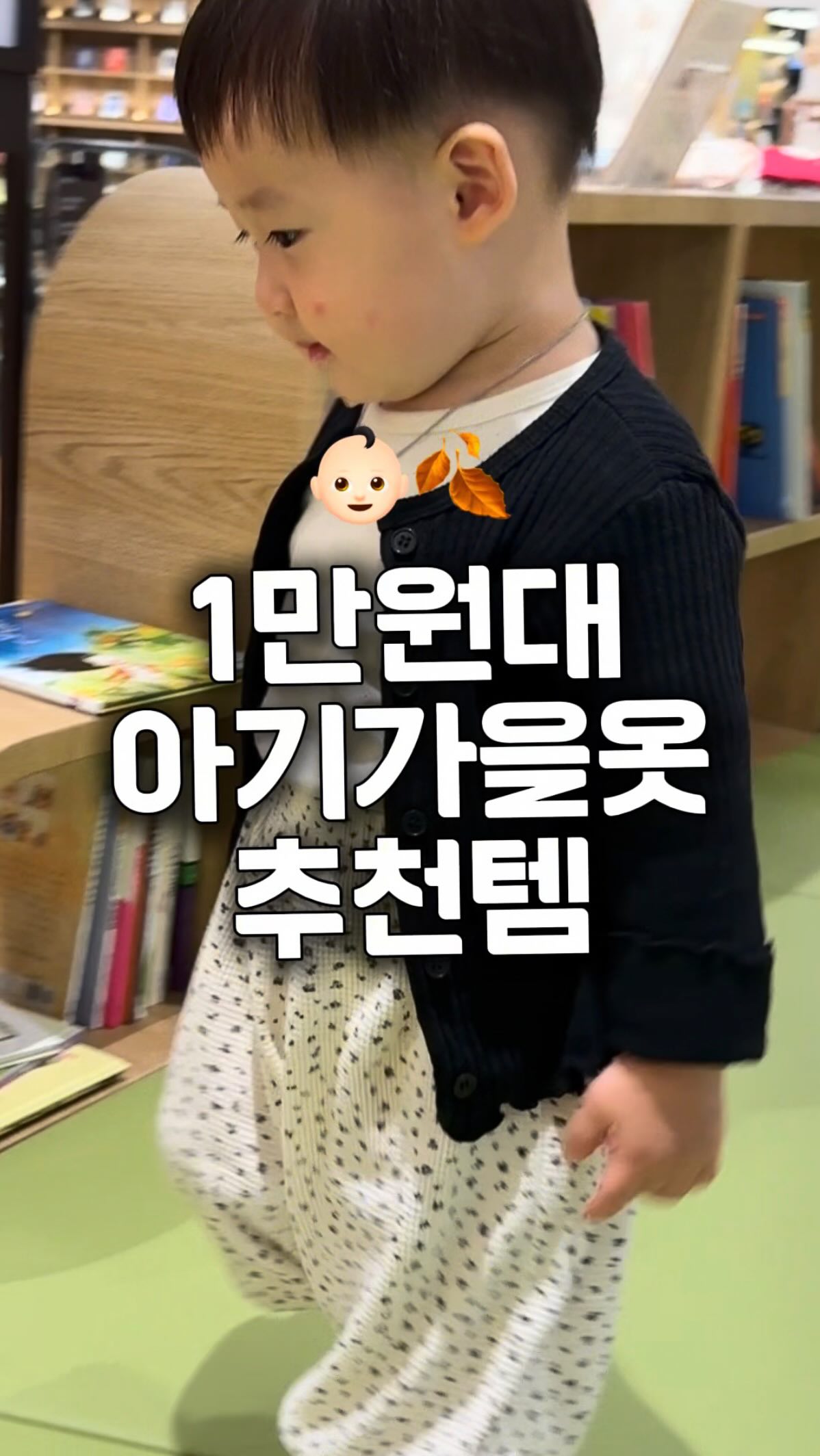 리틀콩 가을 라인업