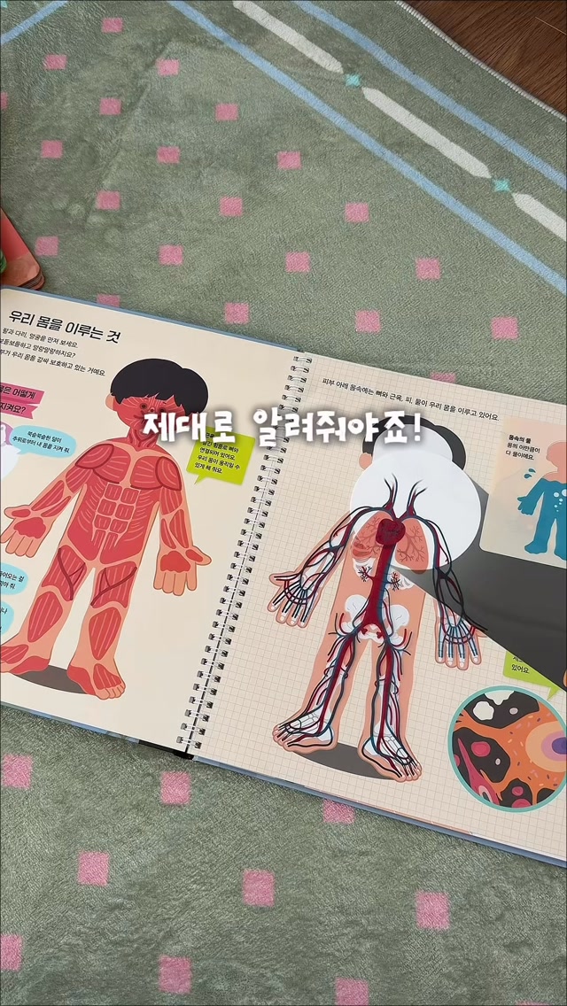 첫 지식책