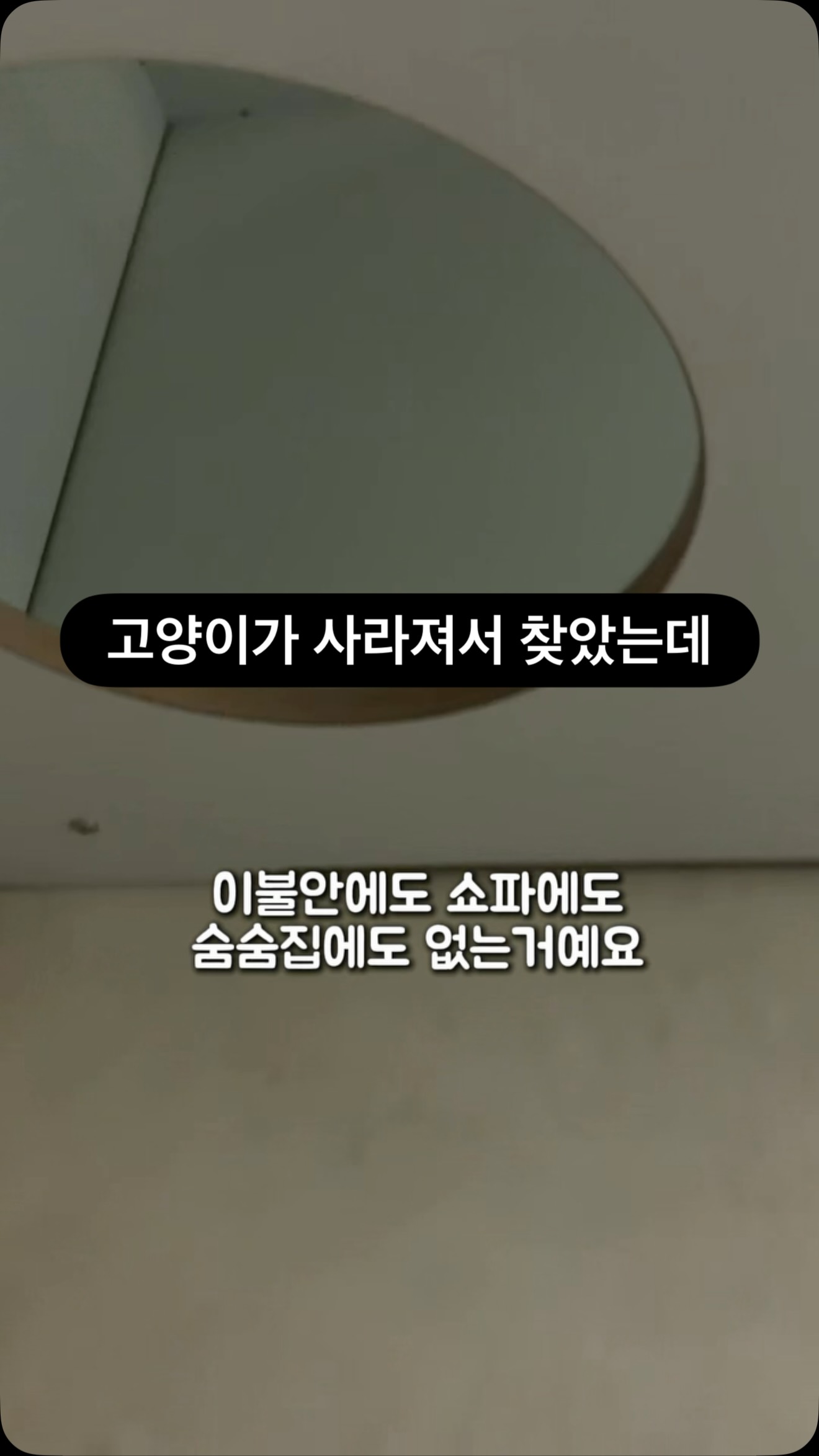 고양이/소형견 이동캐리어