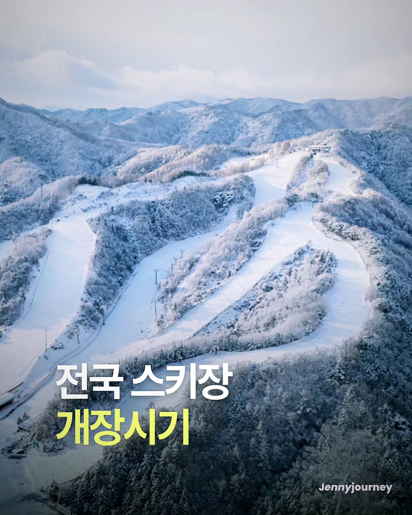 스키 얼리버드 강습