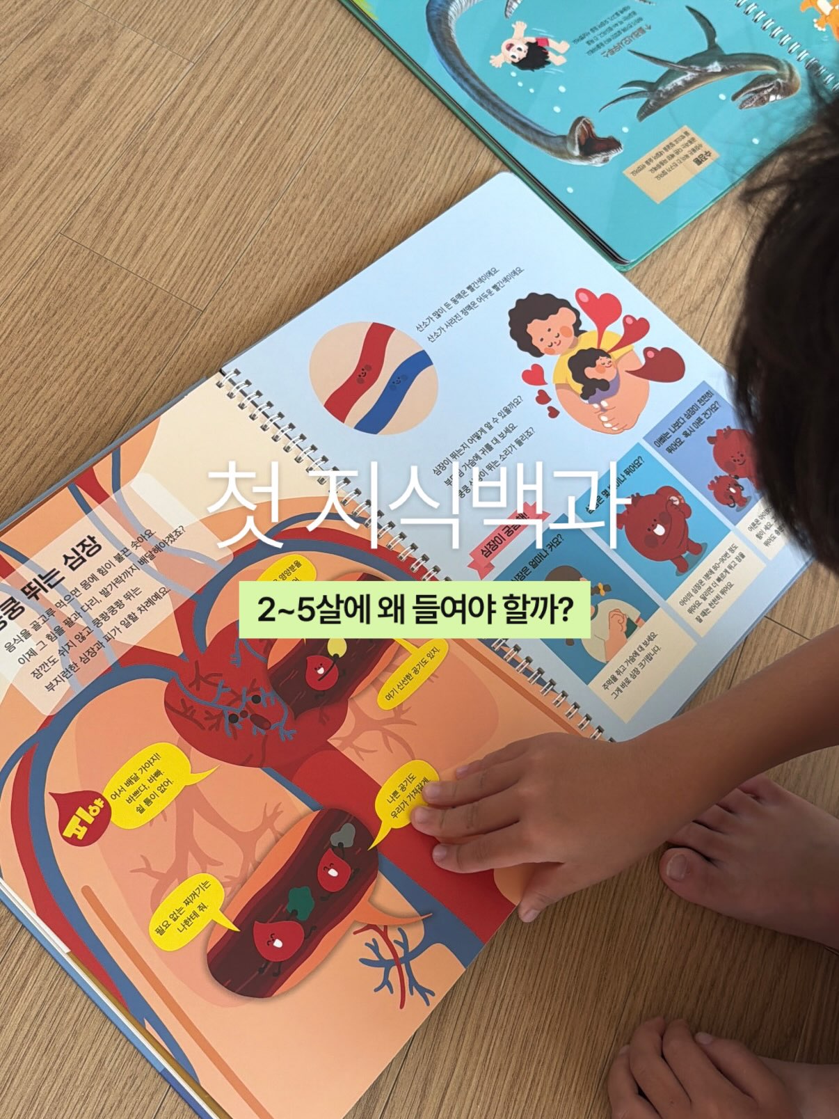 마이퍼스트 디스커버리
