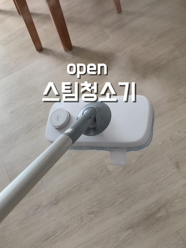 홈앤아트 스팀청소기