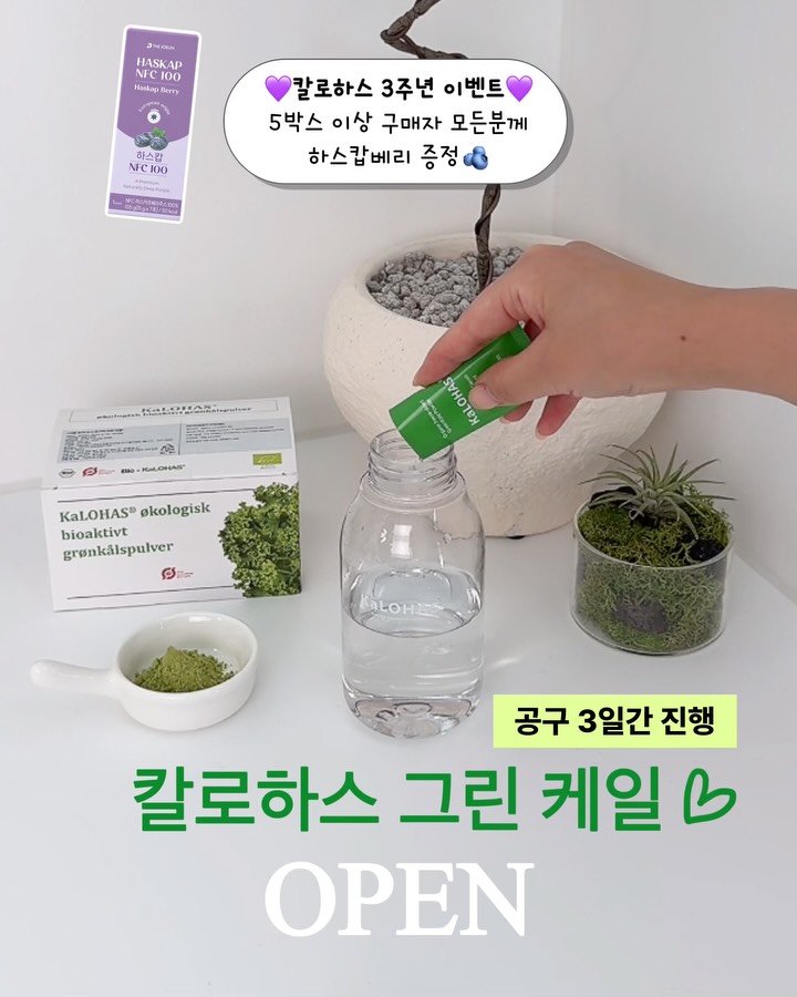 덴마크 유기농 그린 케일