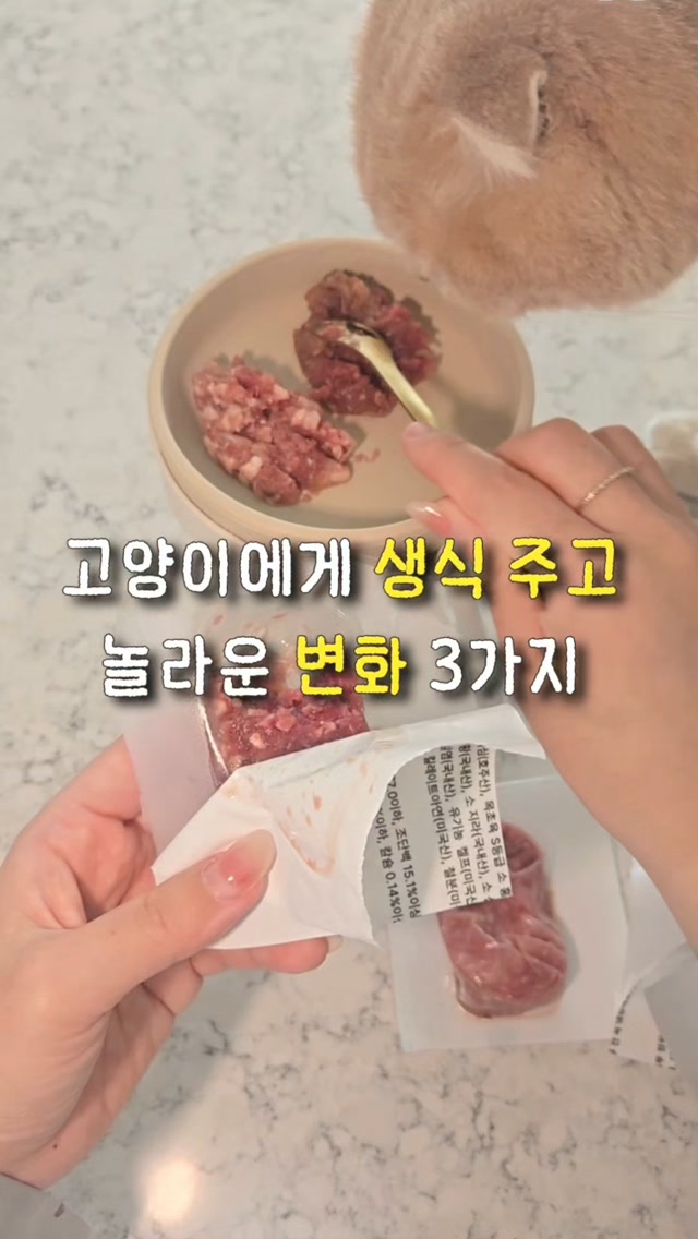 어페일블루닷 생식