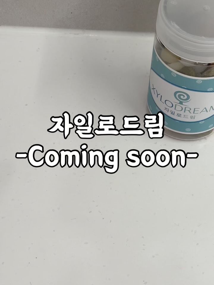자일리톨 사탕