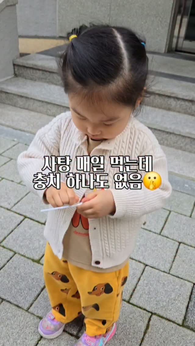 자일로드림 사탕