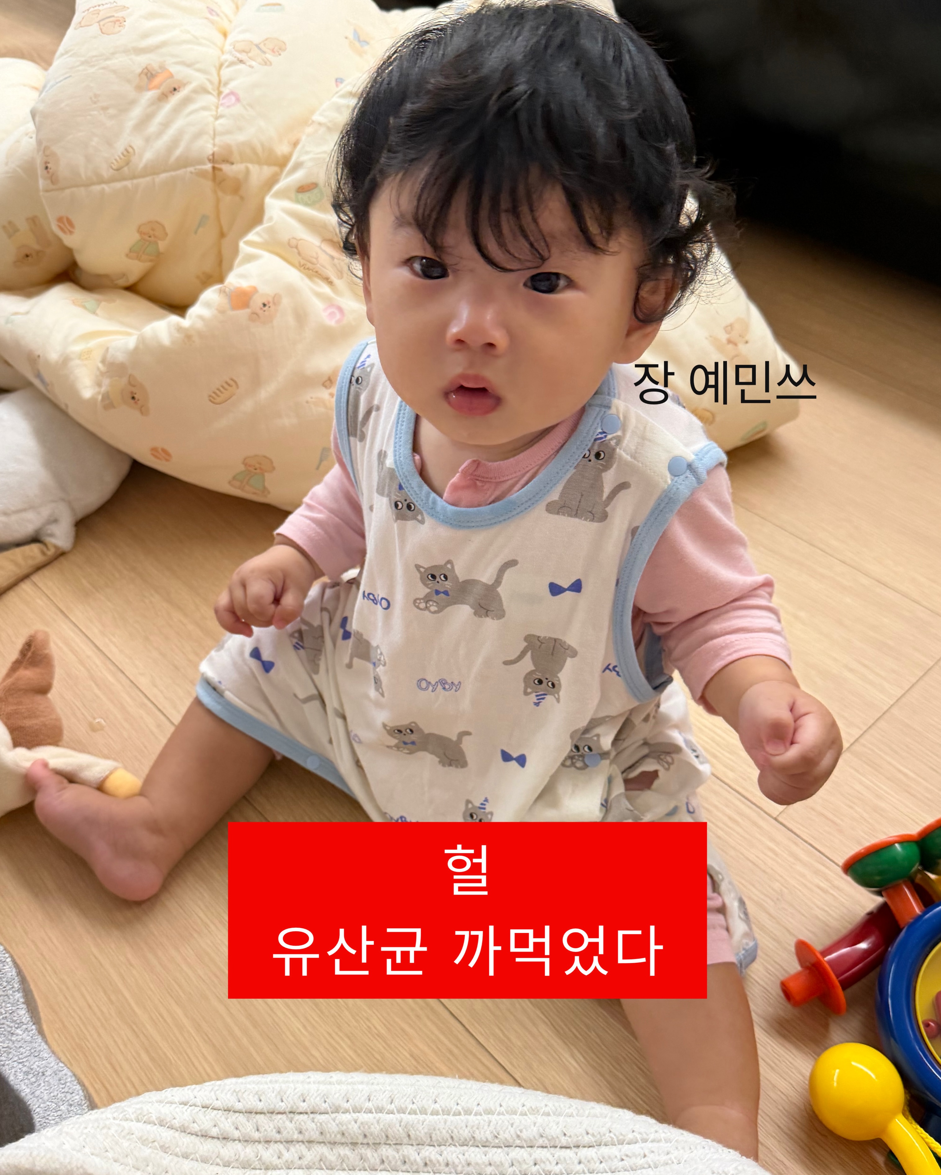 유산균