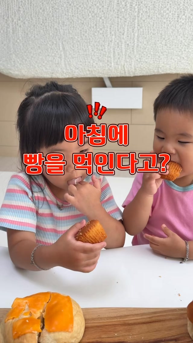 닥터브레드 우리쌀빵