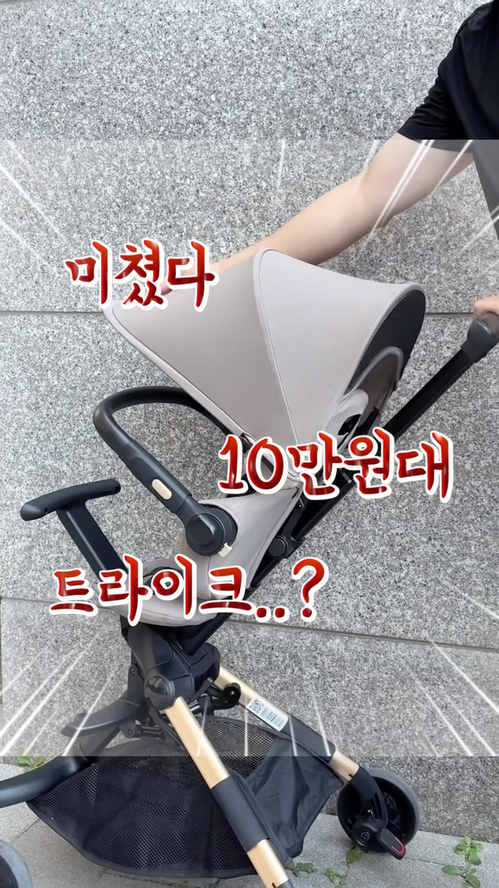 리안 젠트라이크