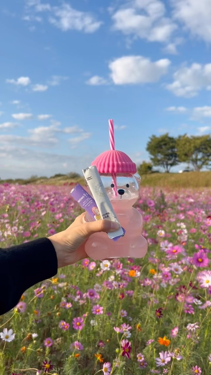 타이벡감귤