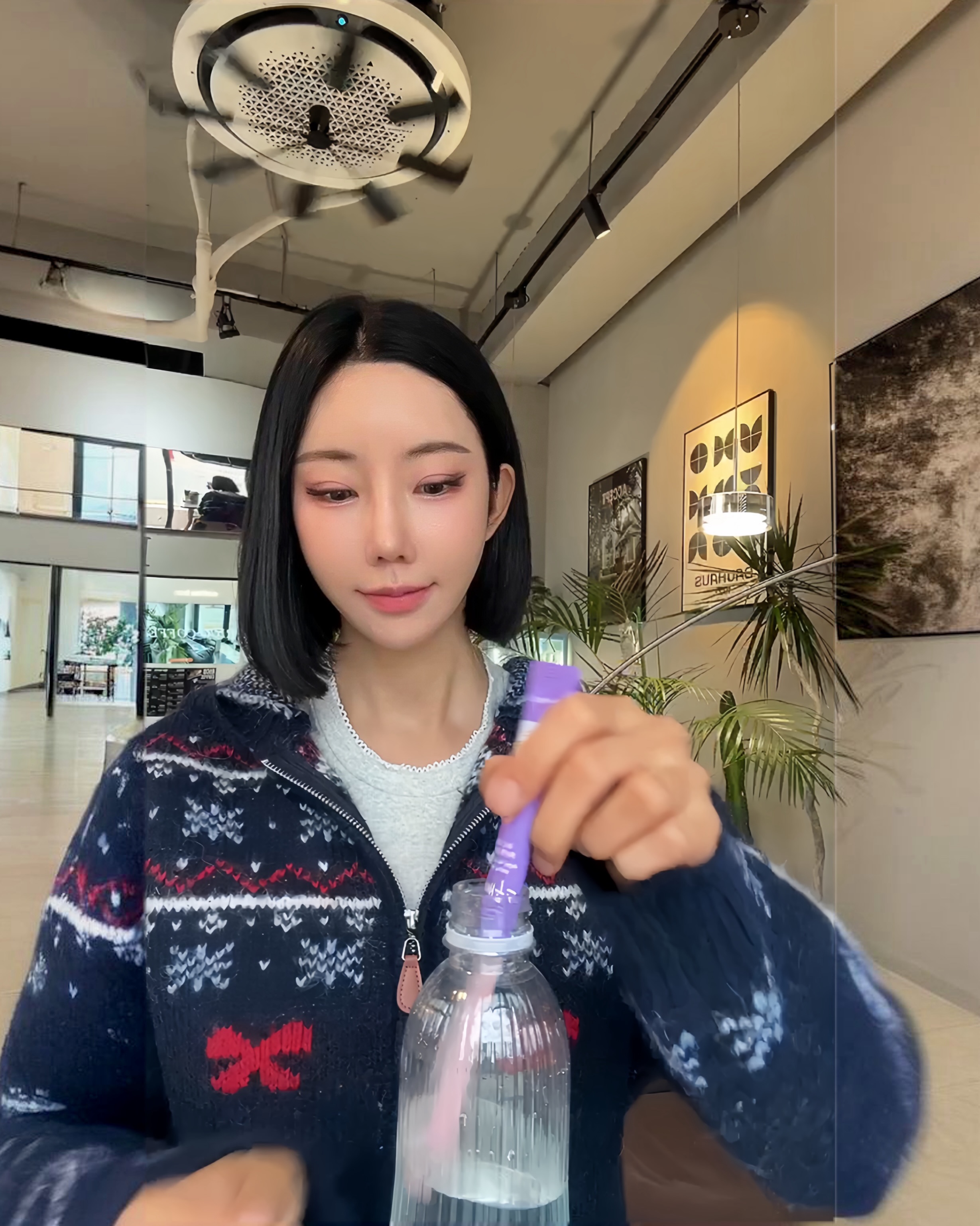 타이벡감귤